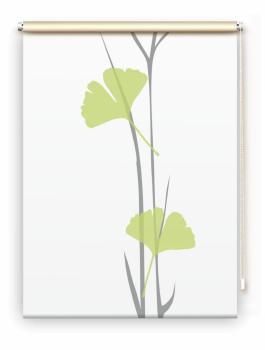 Rollo Ginkgo grey-apfel , Motivrollo, Rollo mit Druck, Fotorollo, bedrucktes Rollo, Fensterrollo,verdunkelndes Rollo, Sonnenschutz Rollo